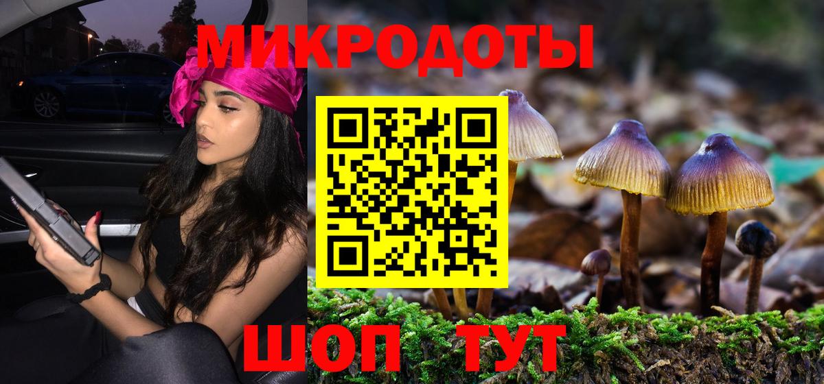 Псилоцибиновые грибы Cubensis Шали