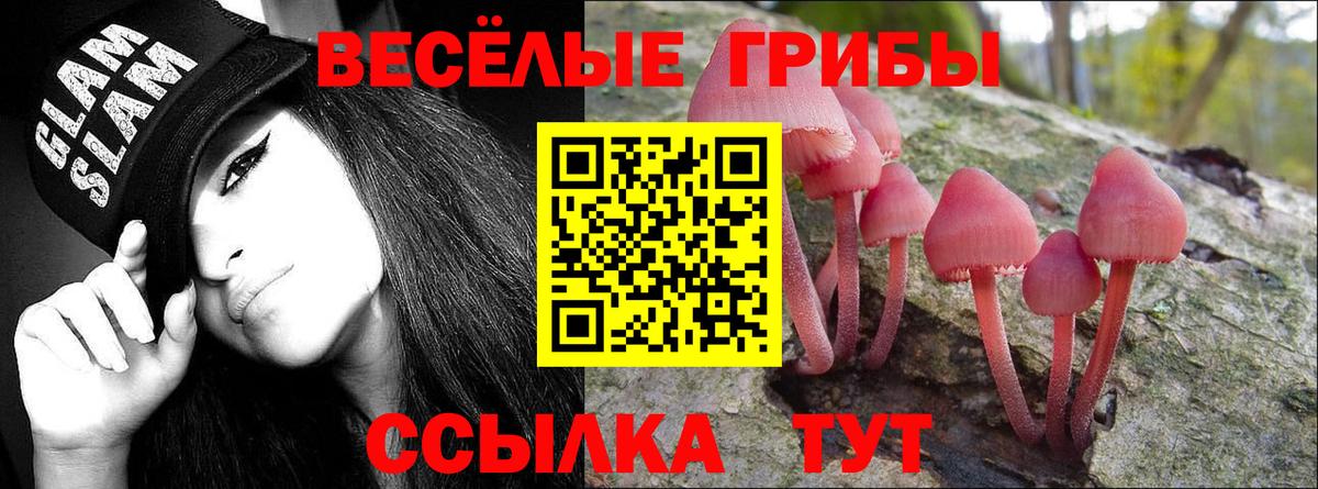 Псилоцибиновые грибы ЛСД  Вход с VPN  Шали 